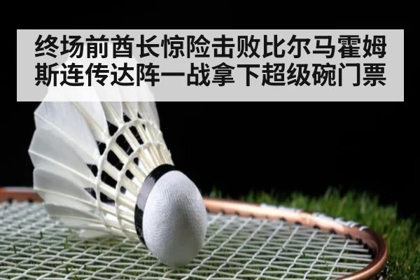 终场前酋长惊险击败比尔马霍姆斯连传达阵一战拿下超级碗门票